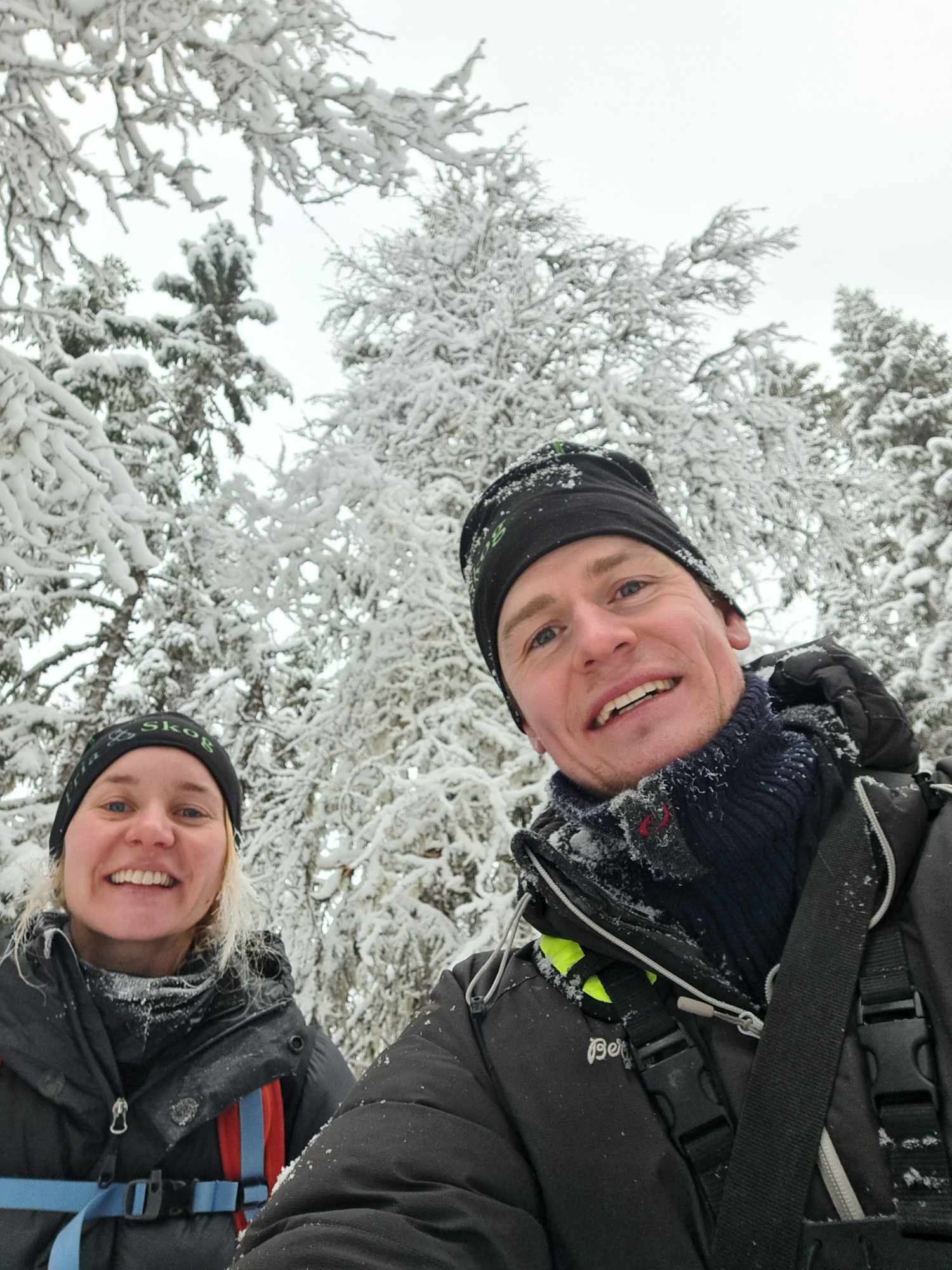 Vårhälsning från Fria Skog